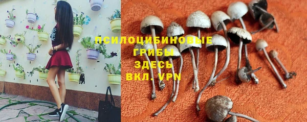 гидра Балахна