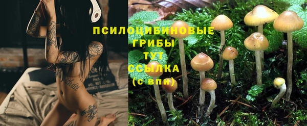 мдпв Баксан