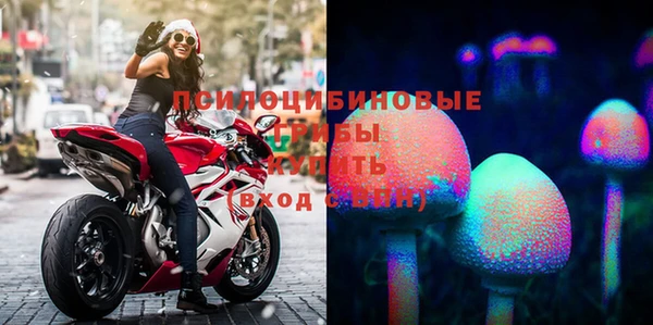 гидра Балахна