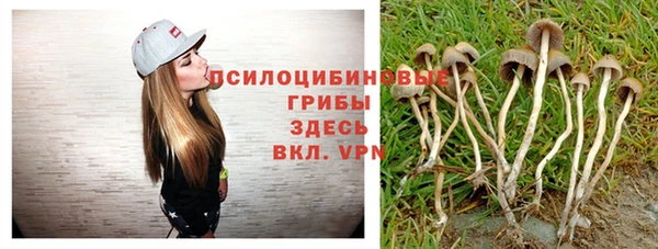 не бодяженный Аркадак