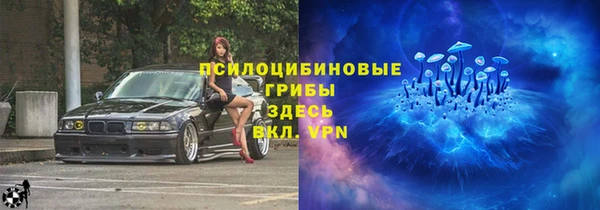 гидра Балахна