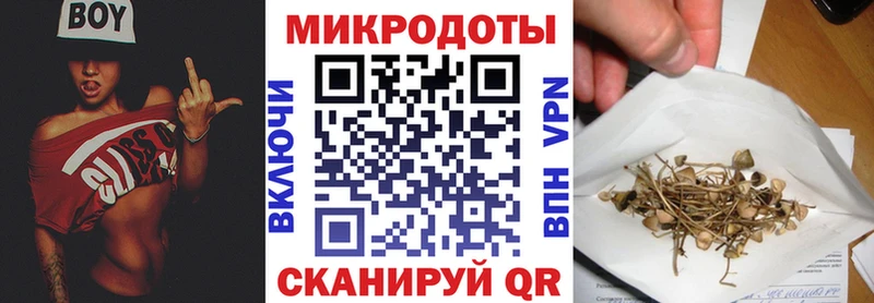 Псилоцибиновые грибы Psilocybe  Купить где  Советск 